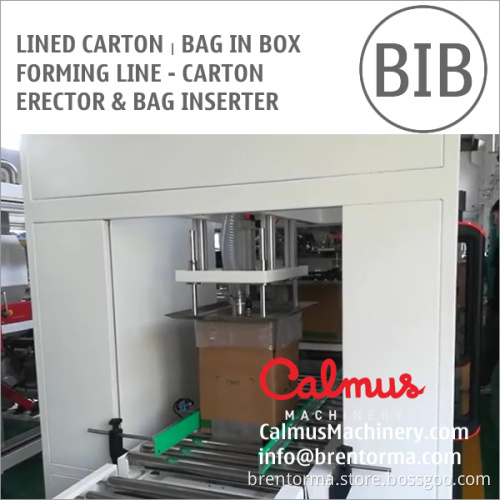 Lined Carton Bag in Box Forming Line - Carton Erector and Bag Inserter